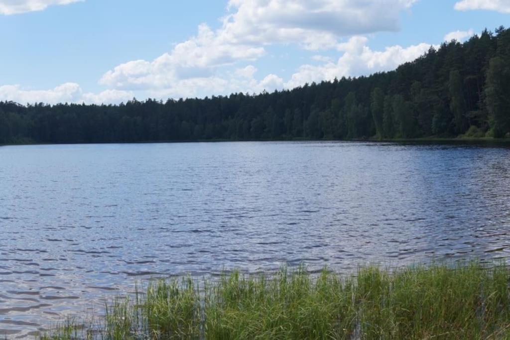 Domek Nad Jeziorem Kaszuby Max 6 Os Bieszkowice Esterno foto