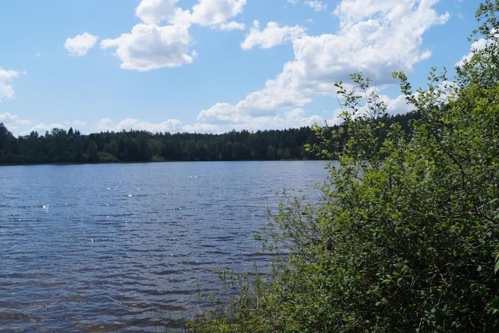 Domek Nad Jeziorem Kaszuby Max 6 Os Bieszkowice Esterno foto